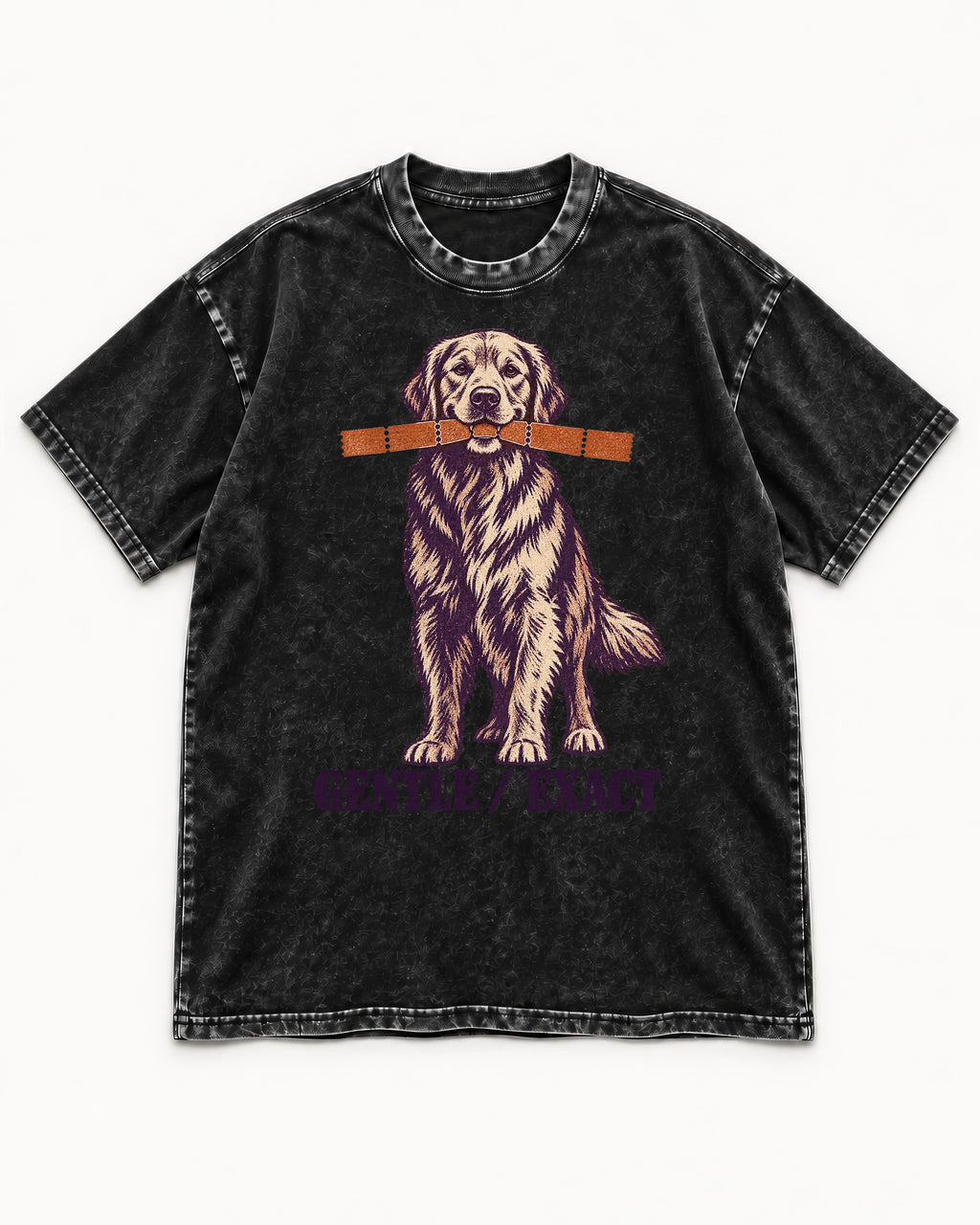 Golden Retriever Gentle Exact Paper Bridge Graphic Washed Tee in Black, flat lay product photo