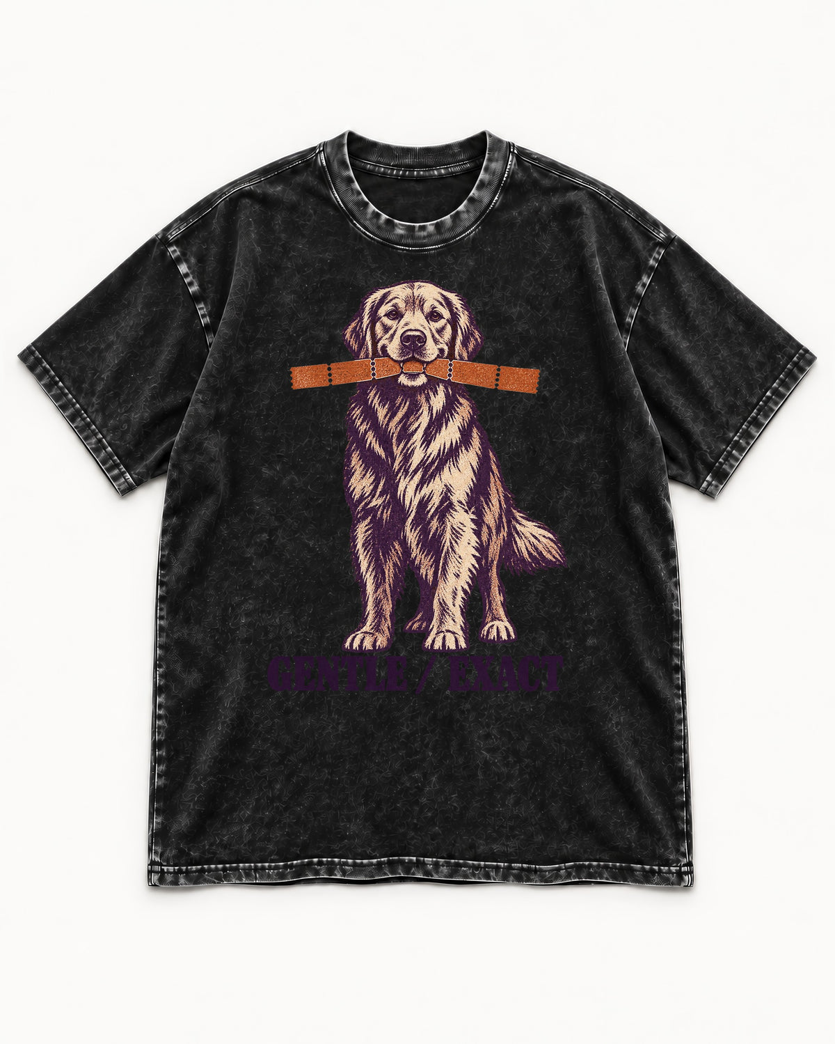 Golden Retriever Gentle Exact Paper Bridge Graphic Washed Tee in Black, flat lay product photo