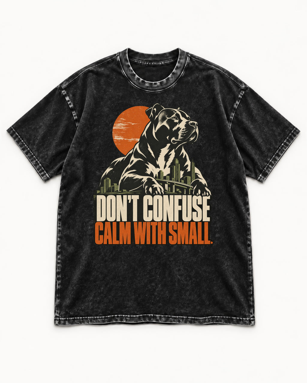 Pitbull Don't Confuse Calm with Small City Guardian Graphic Washed Tee in Black, flat lay product photo