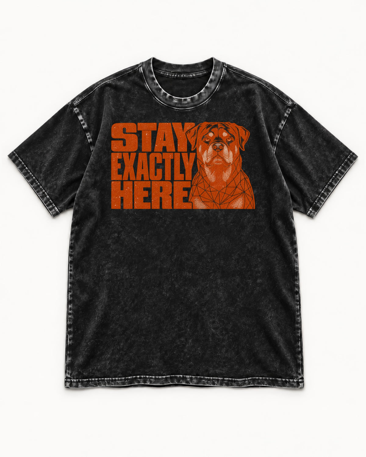 Rottweiler Stay Exactly Here Block Portrait Graphic Washed Tee in Black, flat lay product photo
