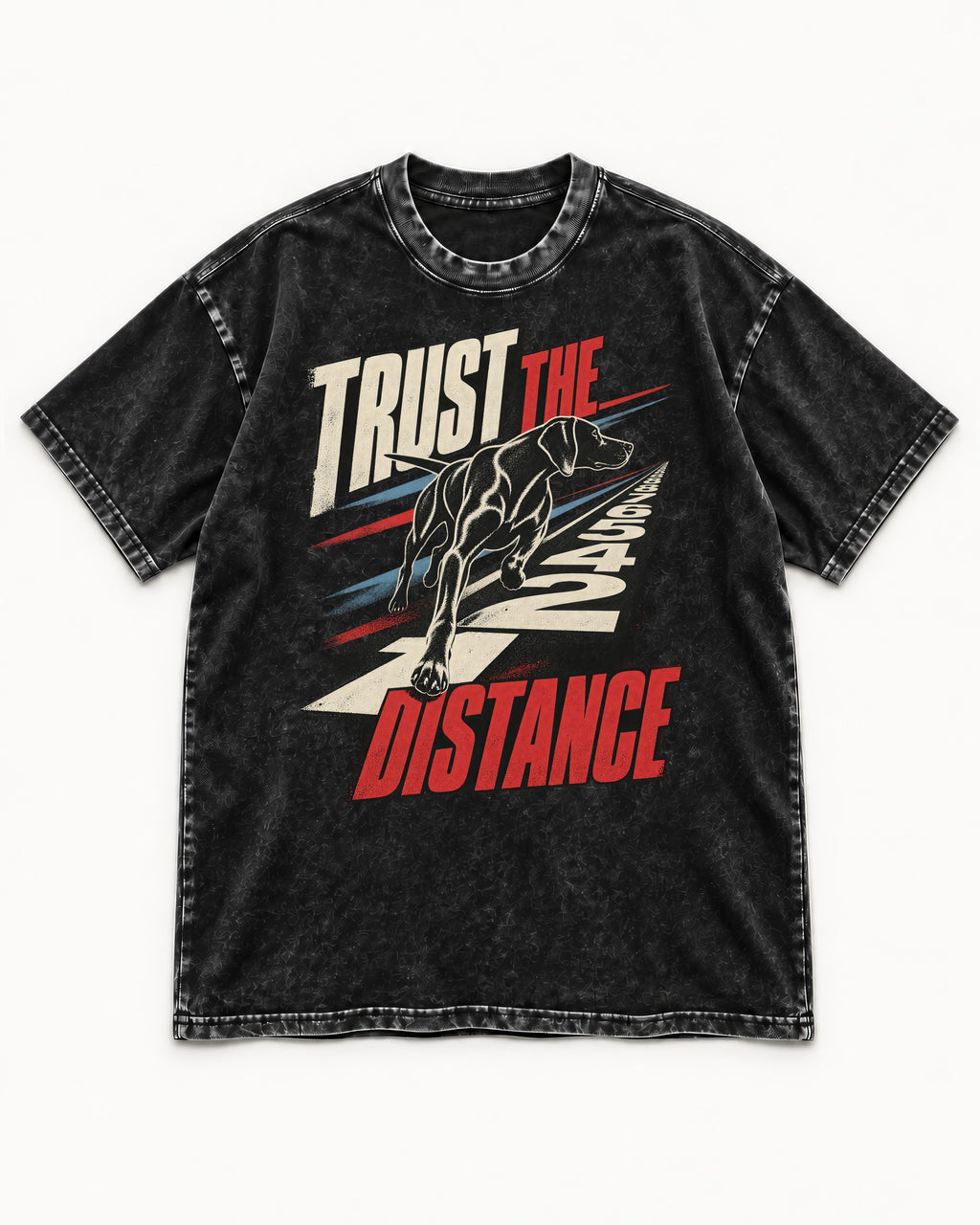 Trust the Distance German Shorthaired Pointer Graphic Washed Tee in Black, flat lay product photo