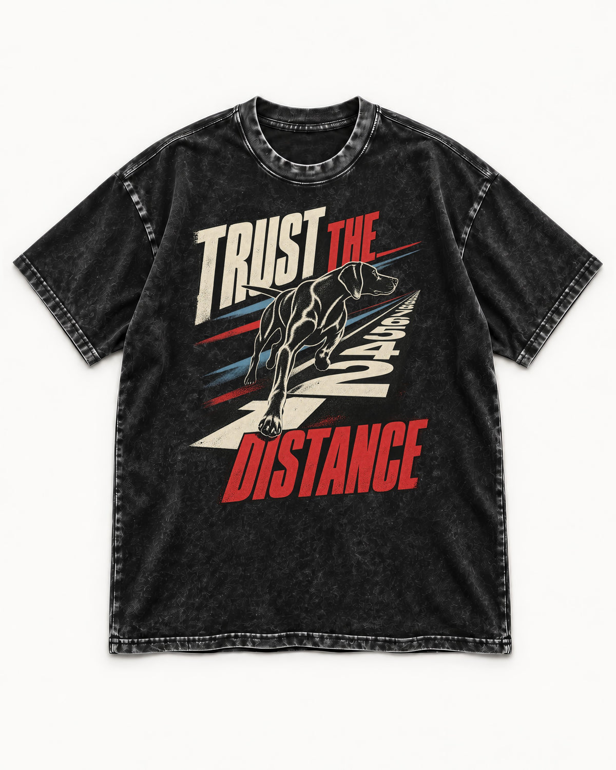 Trust the Distance German Shorthaired Pointer Graphic Washed Tee in Black, flat lay product photo