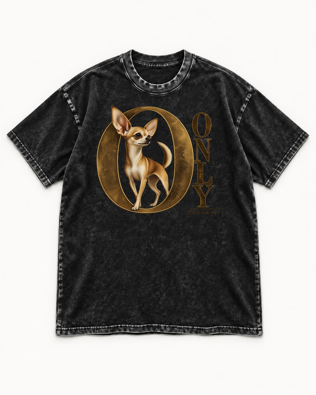 Chihuahua Only the Small Washed Tee in Black, flat lay product photo