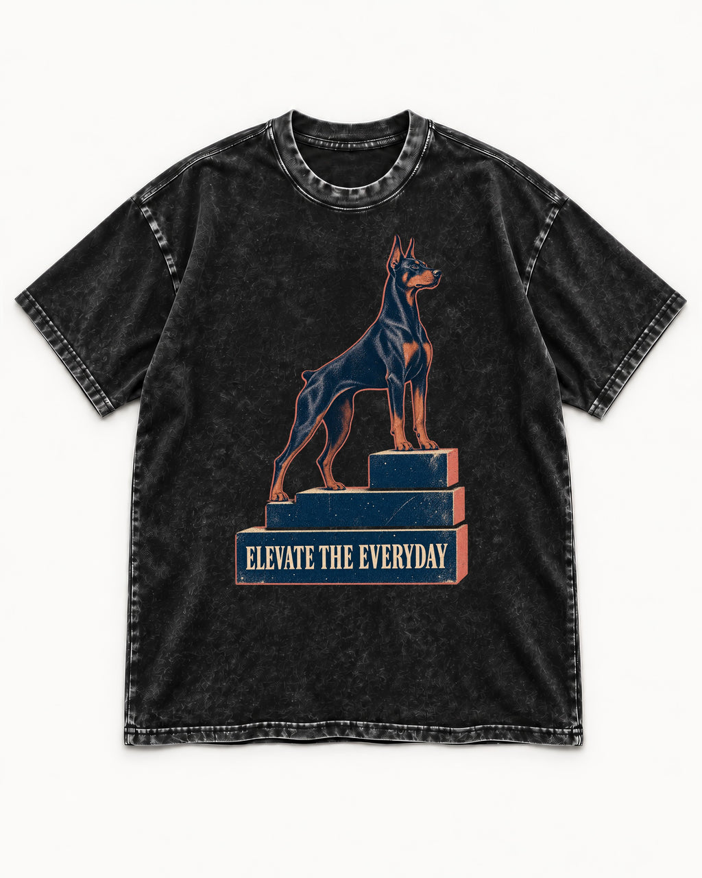 Doberman Elevate the Everyday Podium Graphic Washed Tee in Black, flat lay product photo
