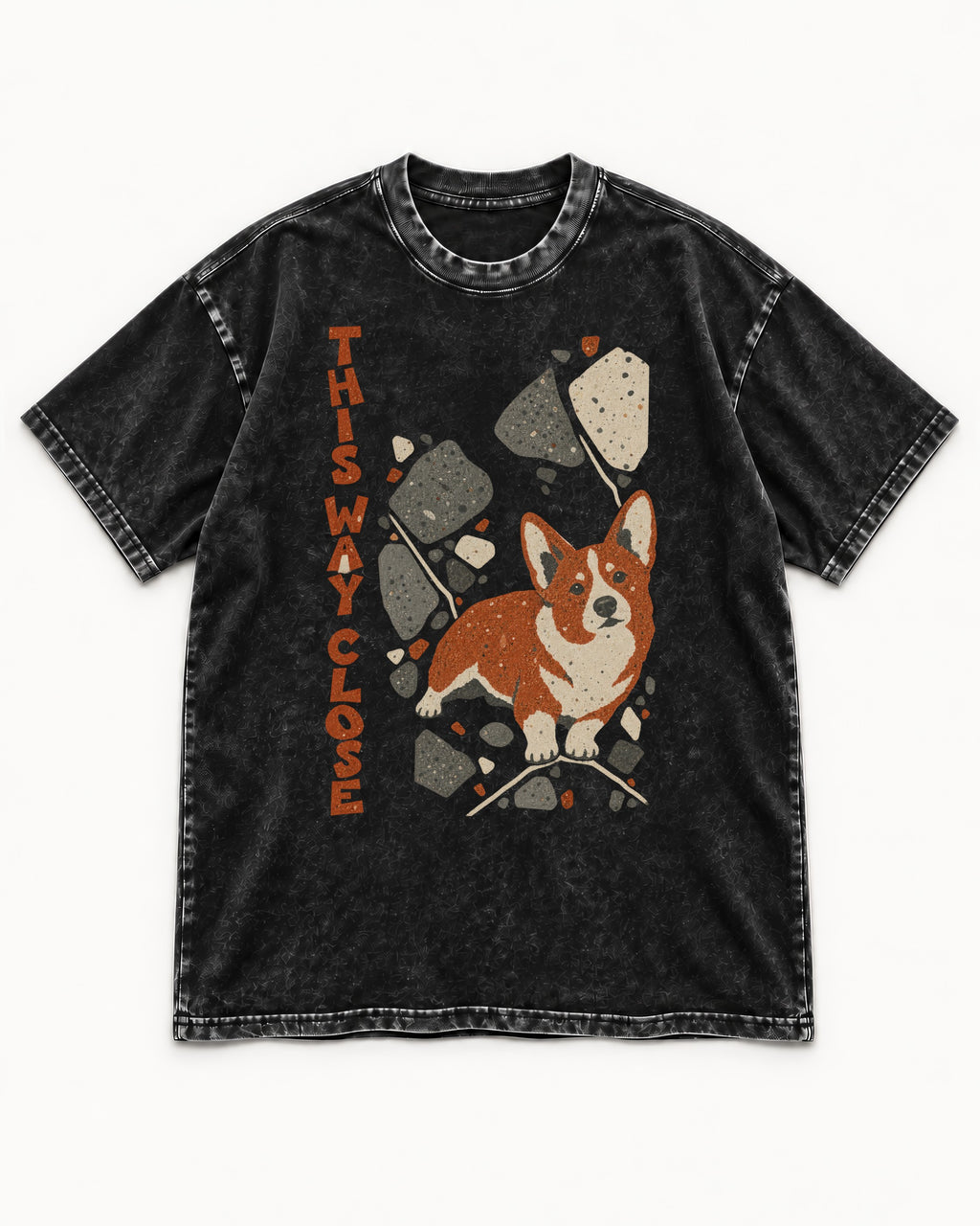 Corgi This Way Close Rubble Graphic Washed Tee in Black, flat lay product photo