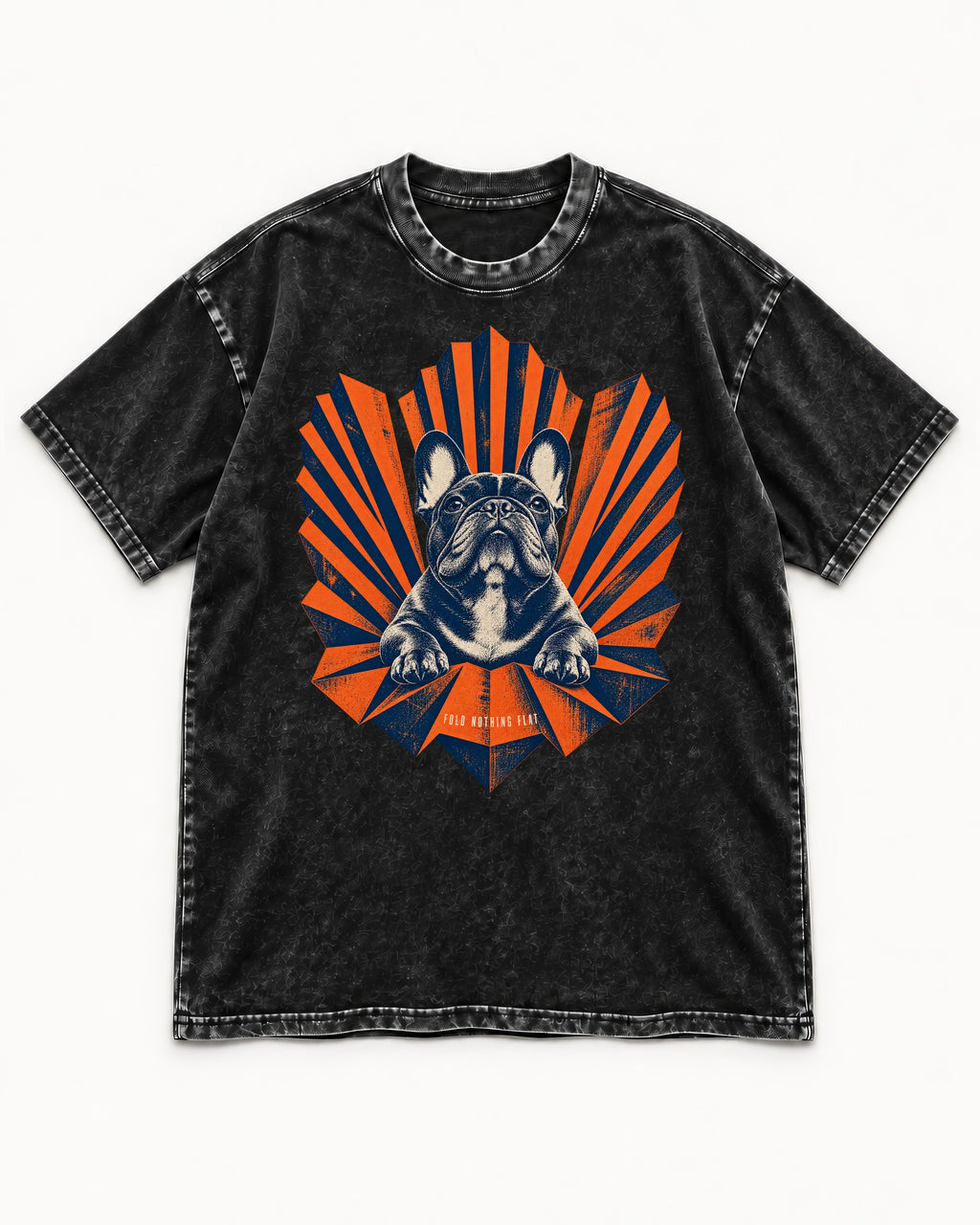 Frenchie Fold Nothing Flat Geometric Fan Graphic Washed Tee in Black, flat lay product photo