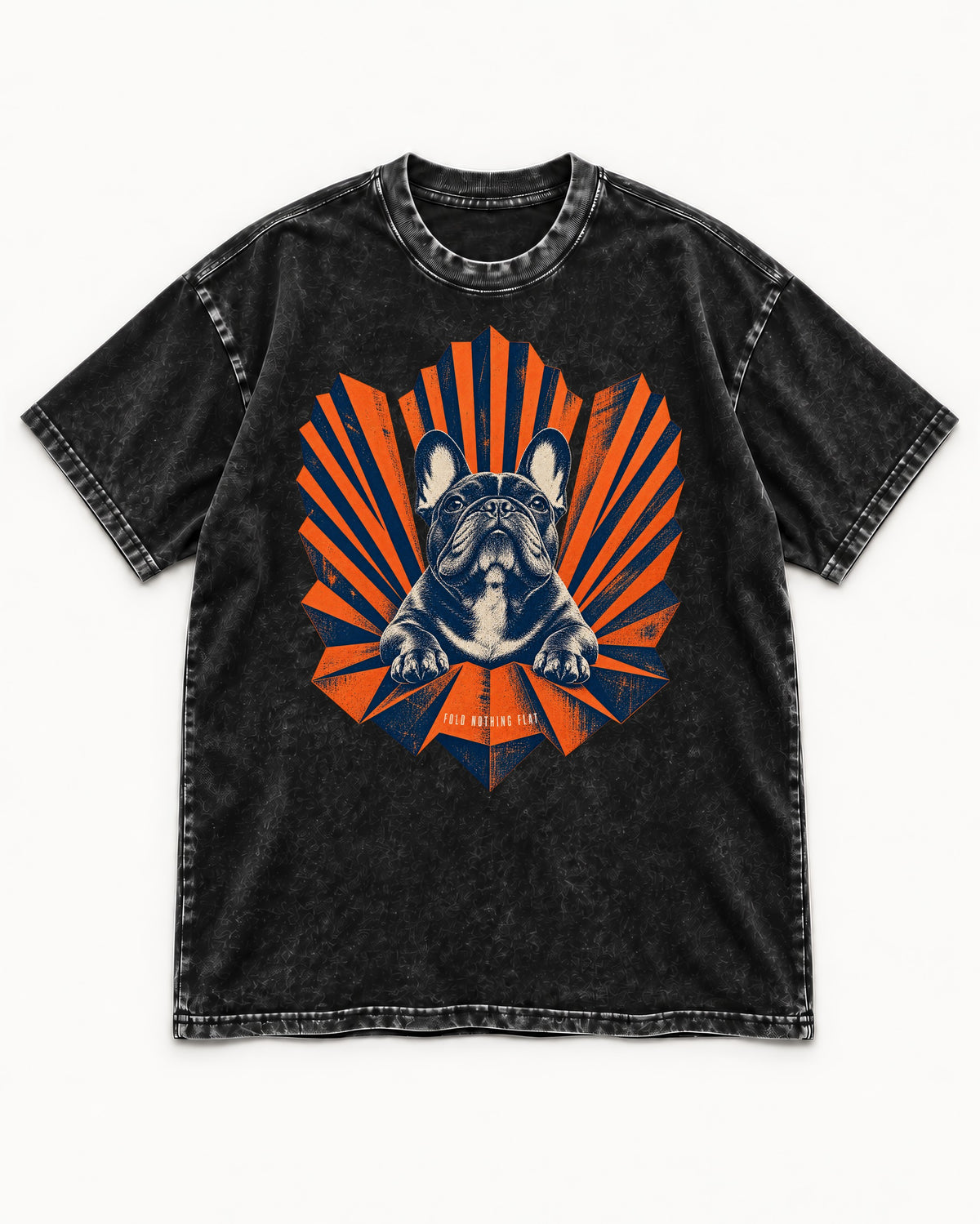 Frenchie Fold Nothing Flat Geometric Fan Graphic Washed Tee in Black, flat lay product photo