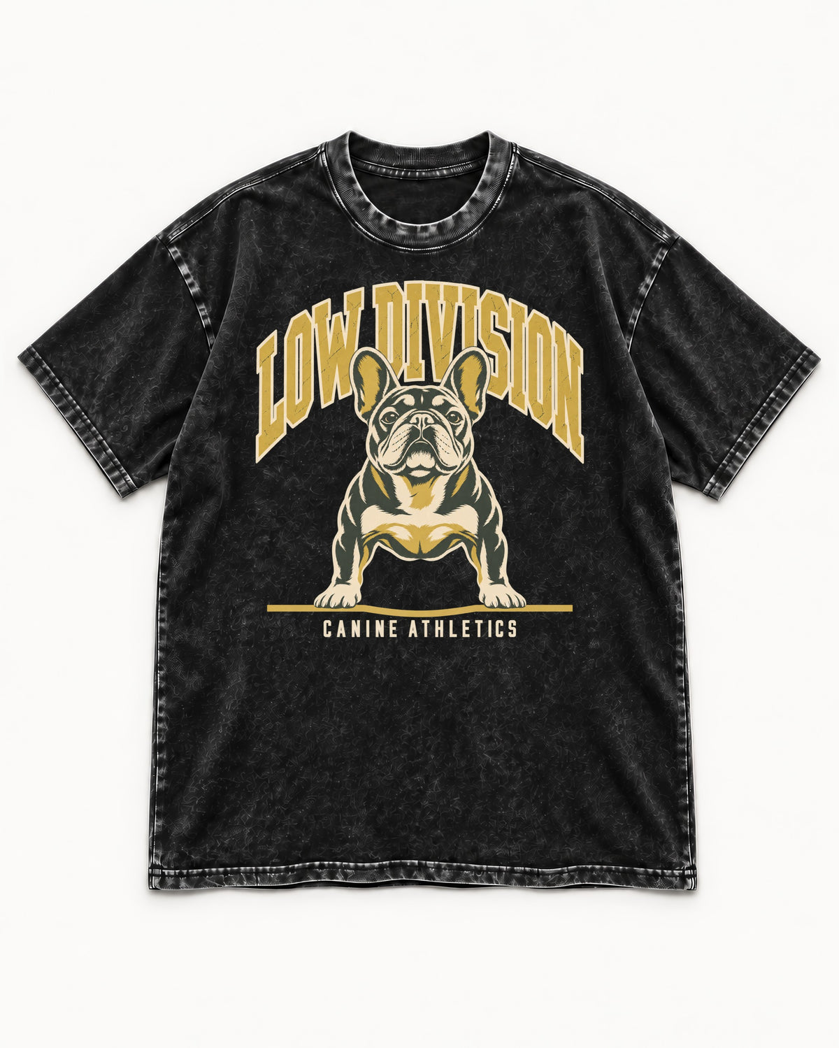Frenchie Low Division Canine Athletics Graphic Washed Tee in Black, flat lay product photo
