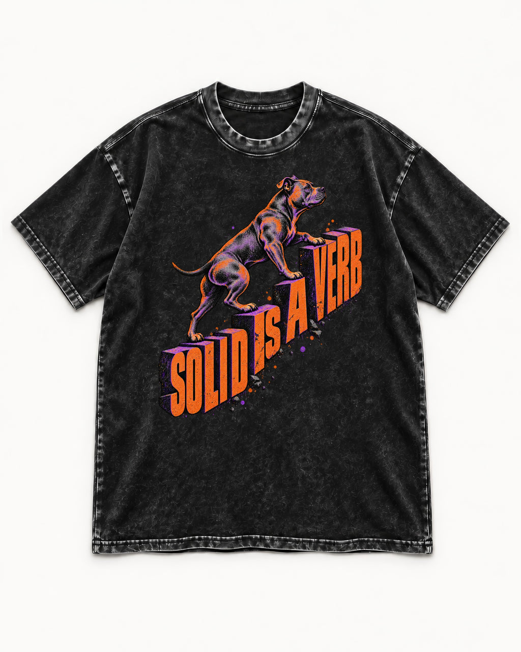 Pitbull Solid Is a Verb Step Type Graphic Washed Tee in Black, flat lay product photo