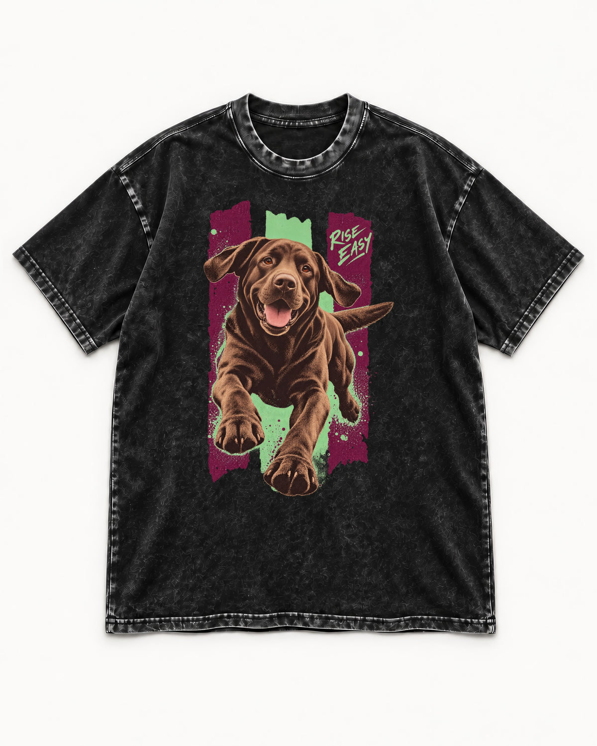 Labrador Retriever Rise Easy Running Chocolate Lab Graphic Washed Tee in Black, flat lay product photo