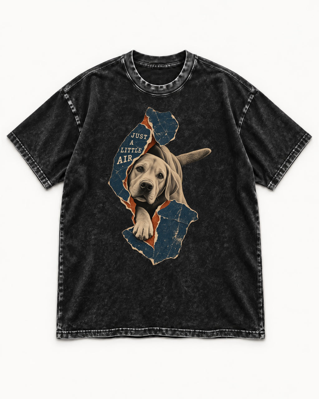 Labrador Retriever Just a Little Air Torn Paper Graphic Washed Tee in Black, flat lay product photo