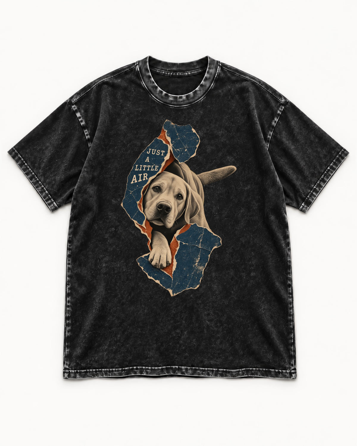 Labrador Retriever Just a Little Air Torn Paper Graphic Washed Tee in Black, flat lay product photo