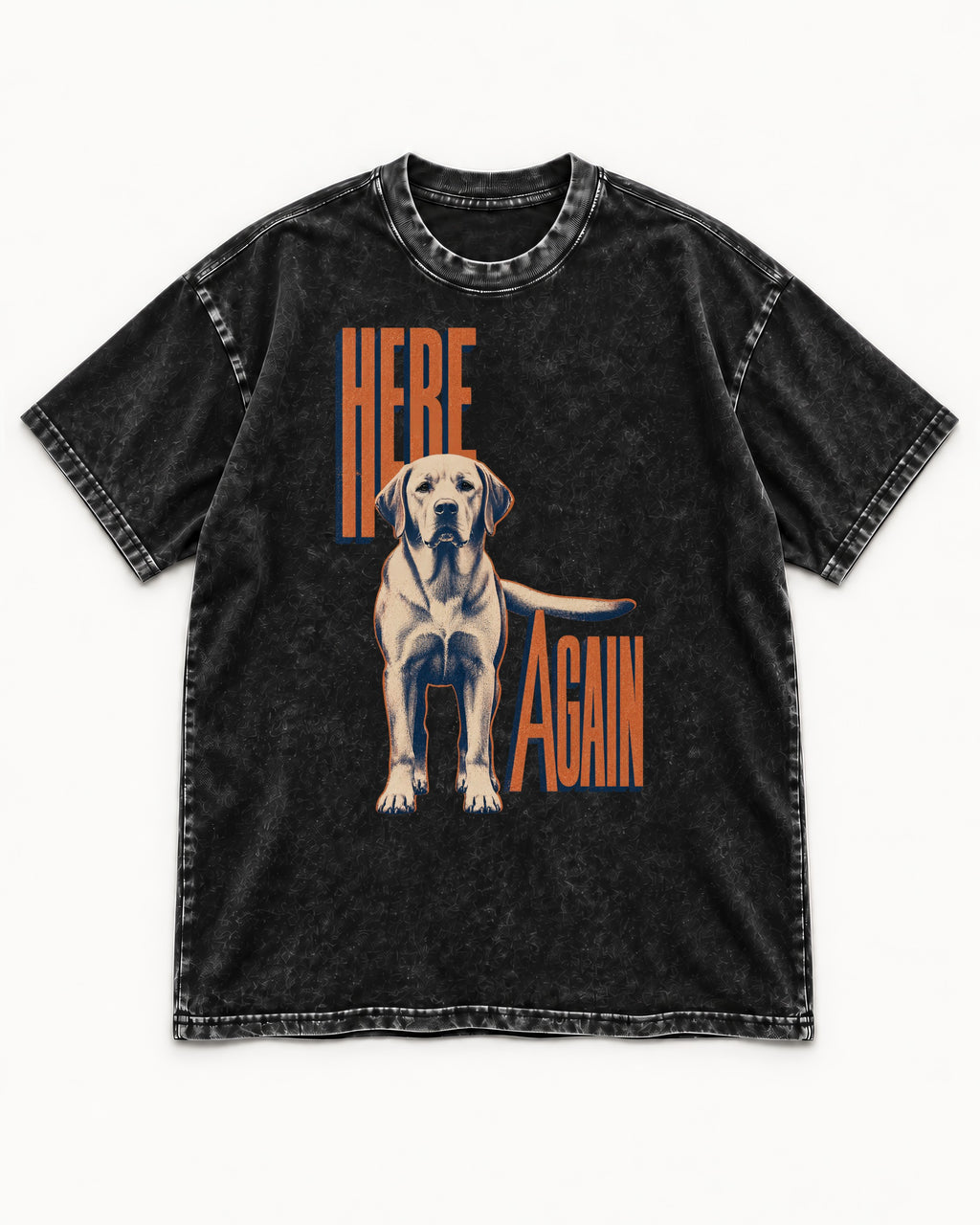 Labrador Retriever Here Again Standing Typography Graphic Washed Tee in Black, flat lay product photo