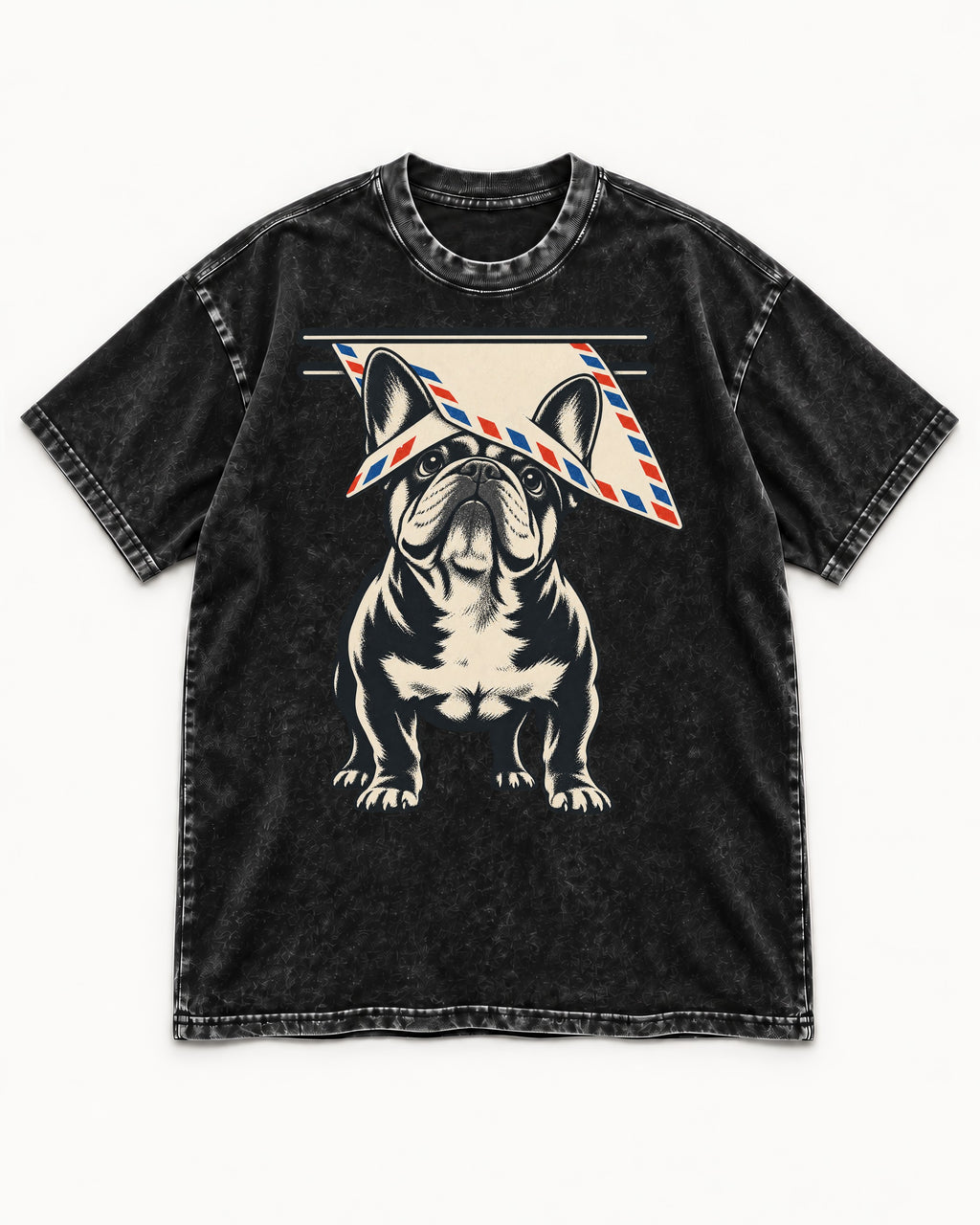 Frenchie Mail Slot Intercept Graphic Washed Tee in Black, flat lay product photo
