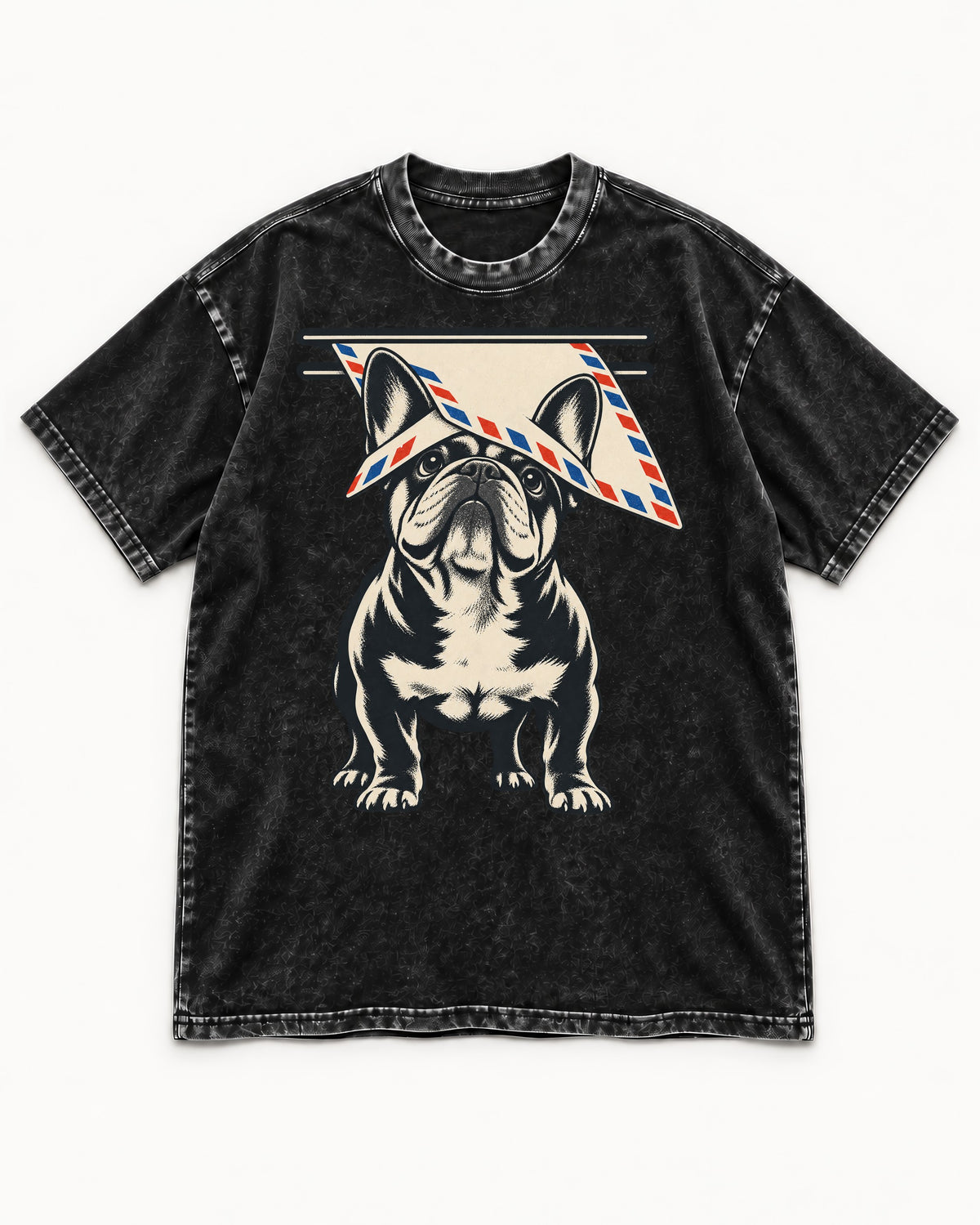 Frenchie Mail Slot Intercept Graphic Washed Tee in Black, flat lay product photo