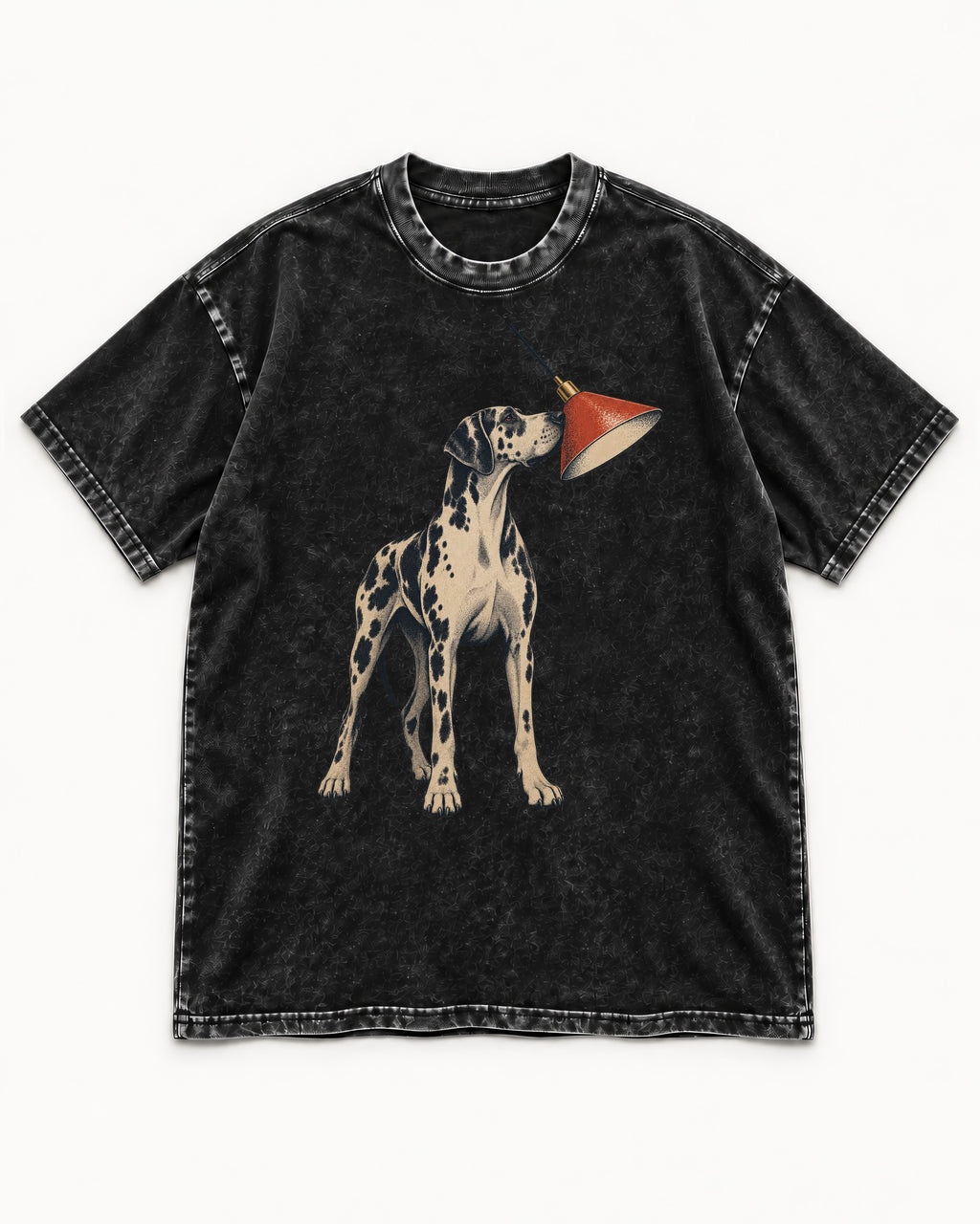 Great Dane Inspecting Hanging Lamp Graphic Washed Tee in Black, flat lay product photo
