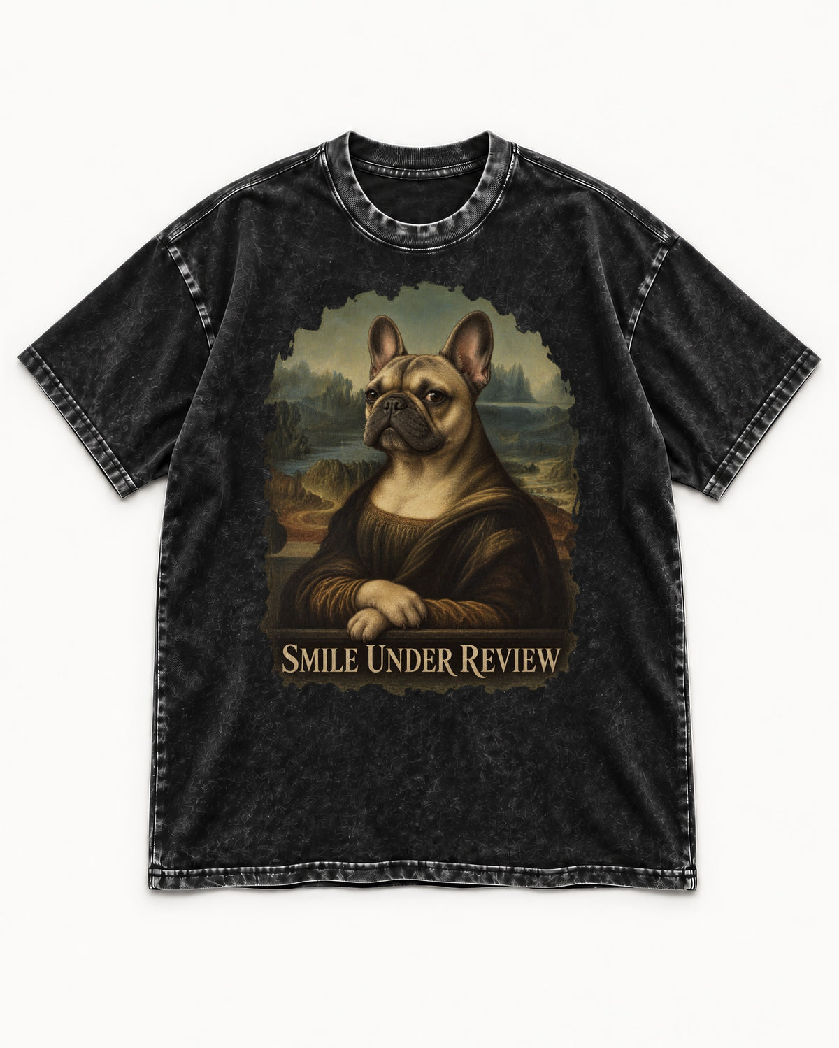 Frenchie Smile Under Review Renaissance Portrait Washed Tee in Black, flat lay product photo