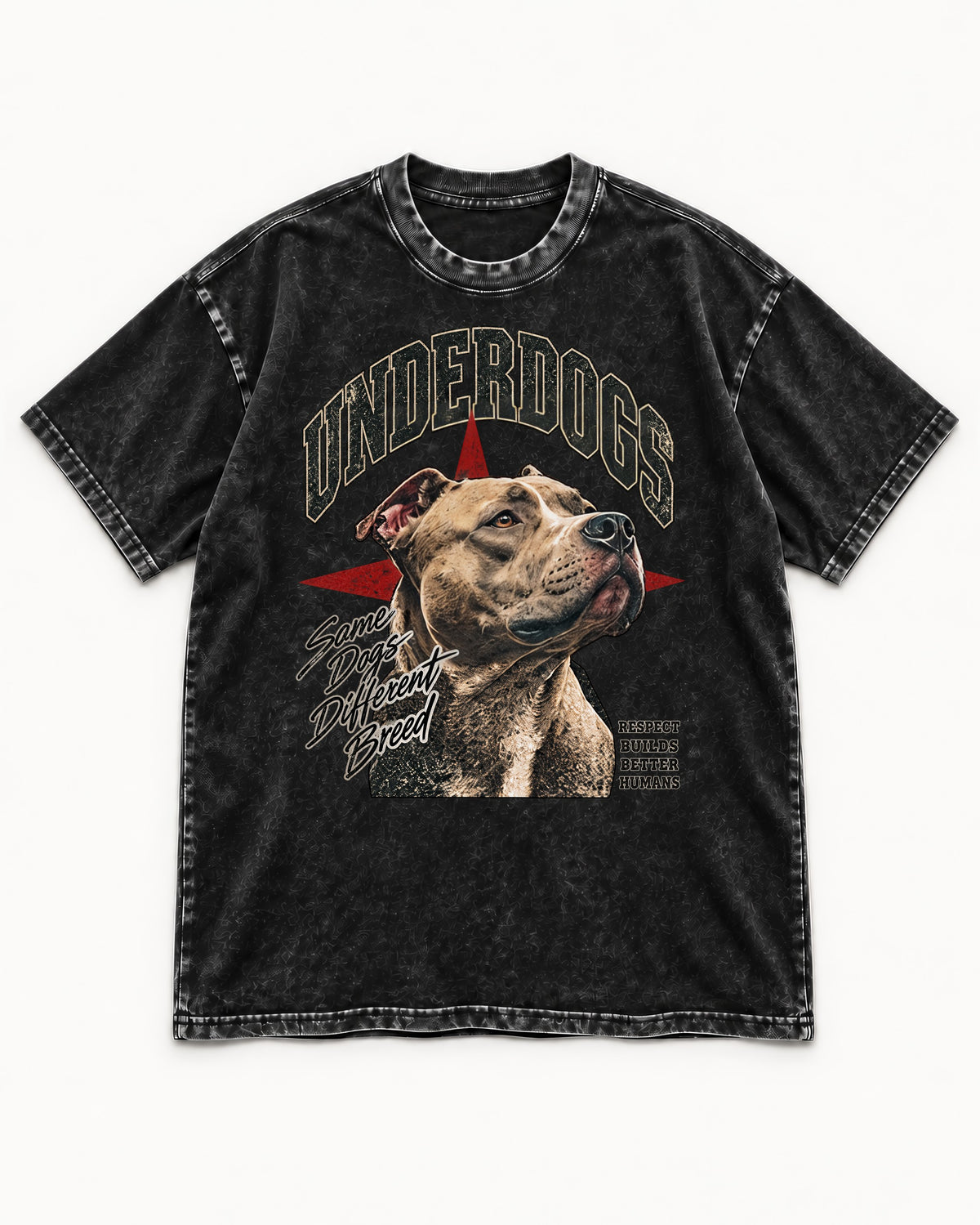 Pitbull Underdogs Same Dogs Different Breed Portrait Graphic Washed Tee in Black, flat lay product photo