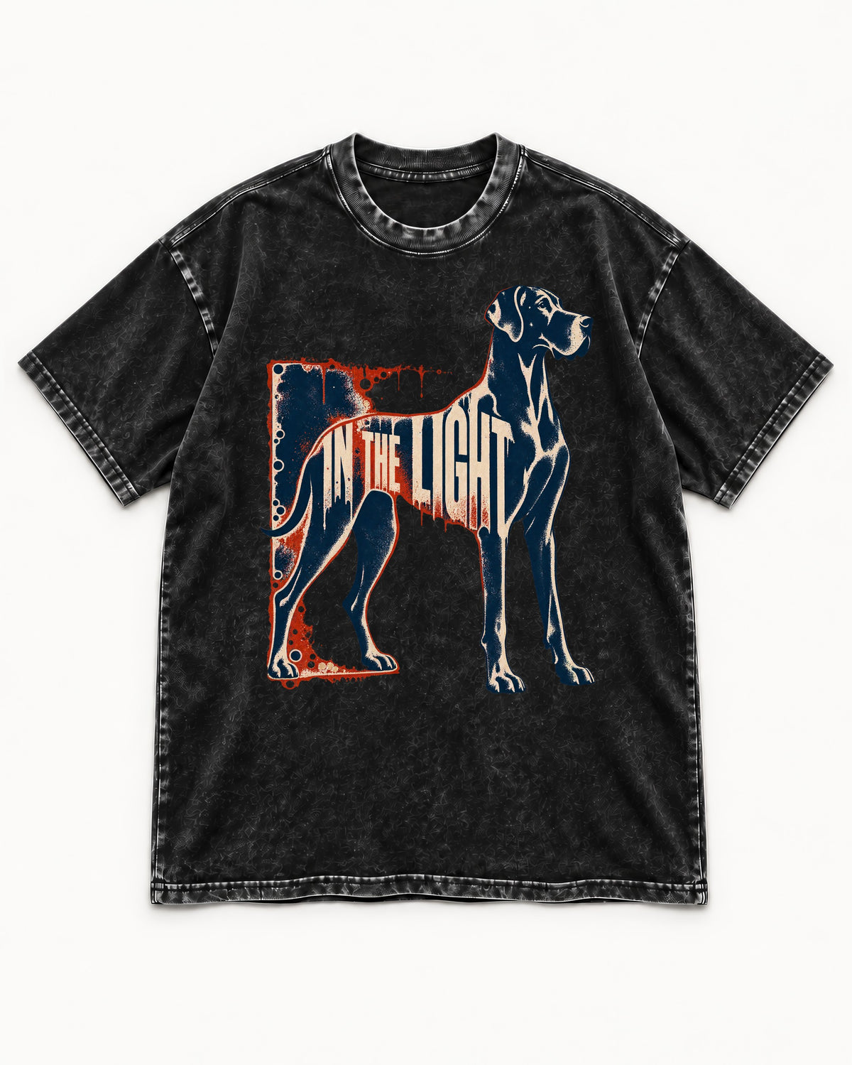 Great Dane In the Light Industrial Frame Graphic Washed Tee in Black, flat lay product photo