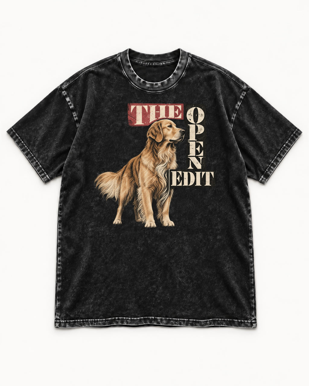 Golden Retriever The Open Edit Typography Portrait Graphic Washed Tee in Black, flat lay product photo