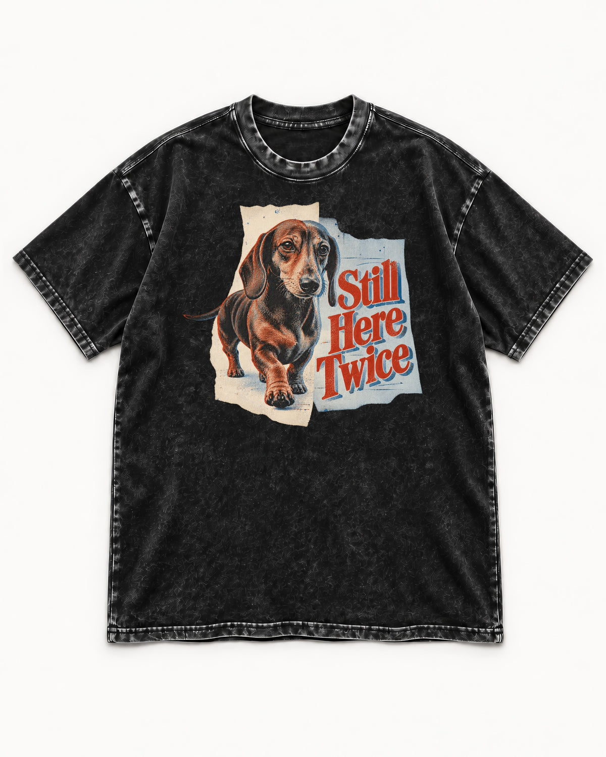 Dachshund Still Here Twice Torn Paper Graphic Washed Tee in Black, flat lay product photo