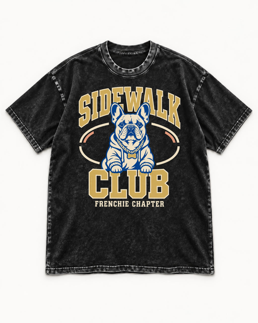 Frenchie Sidewalk Club Chapter Graphic Washed Tee in Black, flat lay product photo