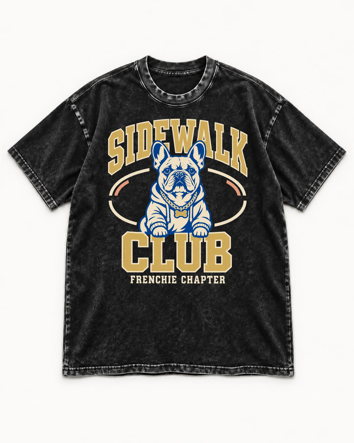 Frenchie Sidewalk Club Chapter Graphic Washed Tee in Black, flat lay product photo