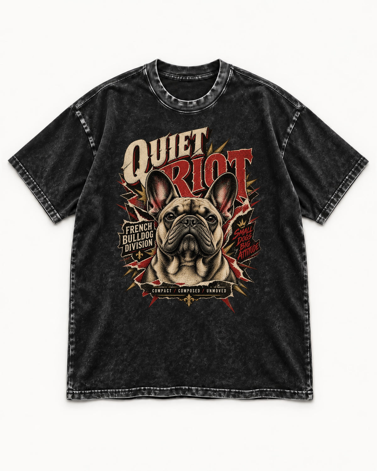 Frenchie Quiet Riot Division Emblem Washed Tee in Black, flat lay product photo