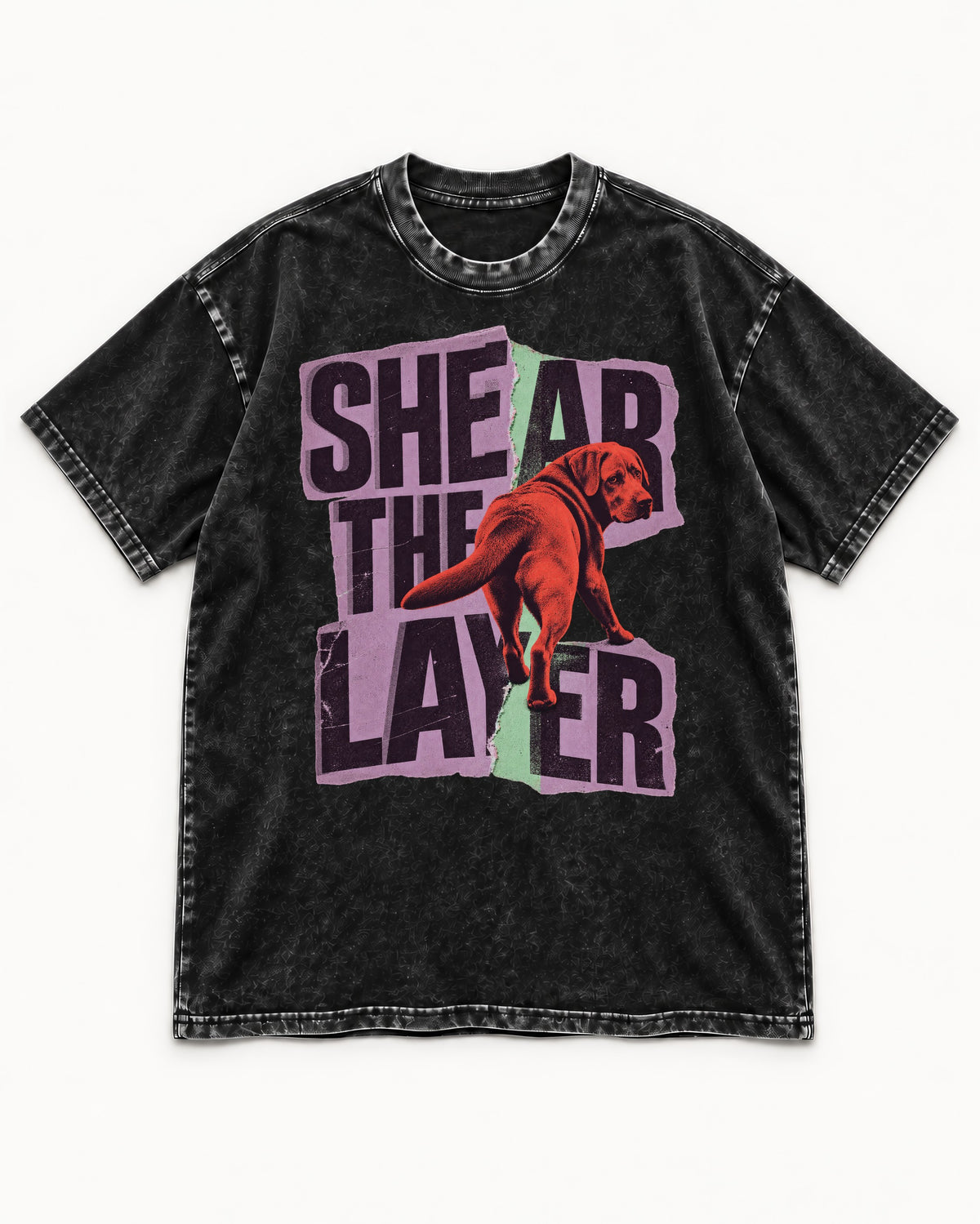 Labrador Retriever Shear the Layer Torn Paper Graphic Washed Tee in Black, flat lay product photo