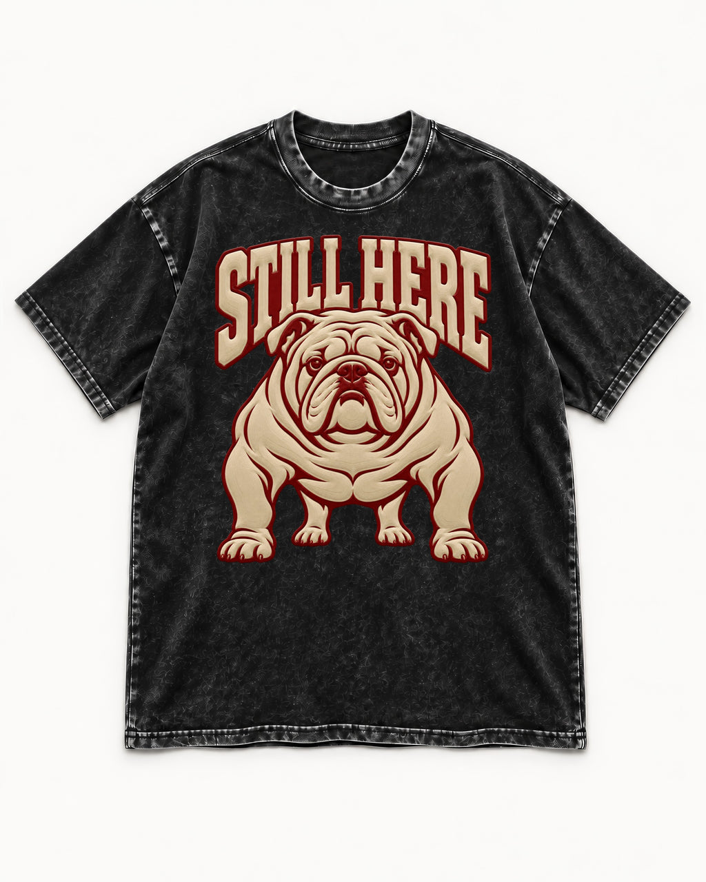 English Bulldog Still Here Collegiate Graphic Washed Tee in Black, flat lay product photo