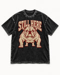 English Bulldog Still Here Collegiate Graphic Washed Tee in Black, flat lay product photo