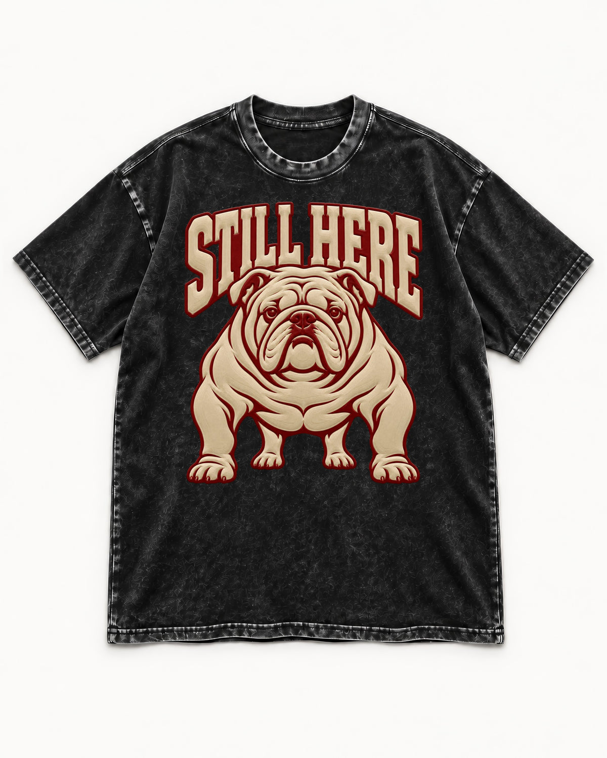 English Bulldog Still Here Collegiate Graphic Washed Tee in Black, flat lay product photo