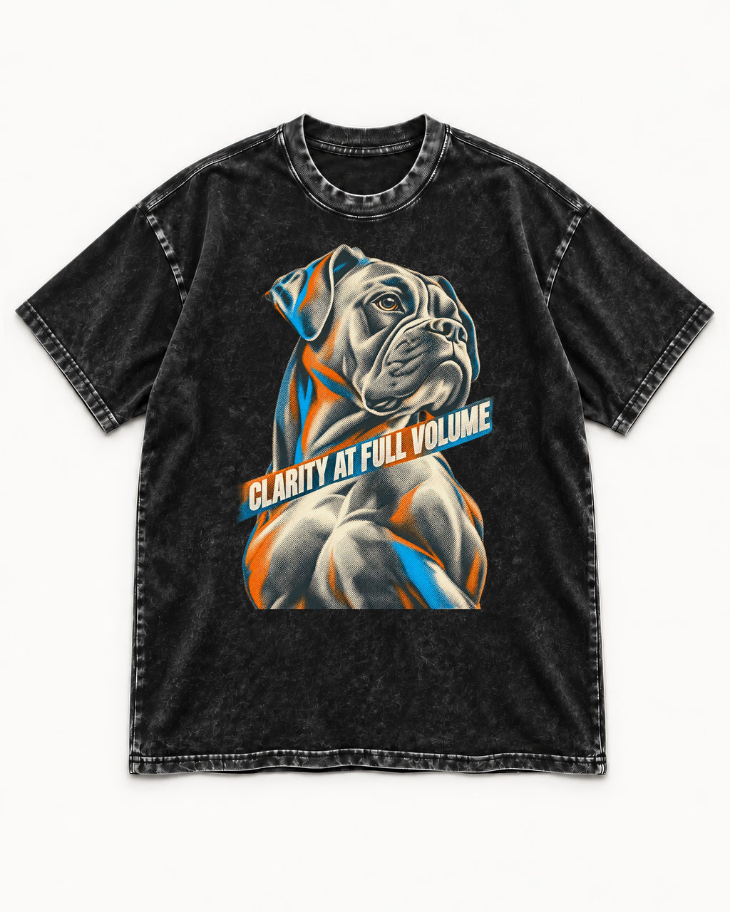 Clarity at Full Volume Boxer Portrait Washed Tee in Black, flat lay product photo