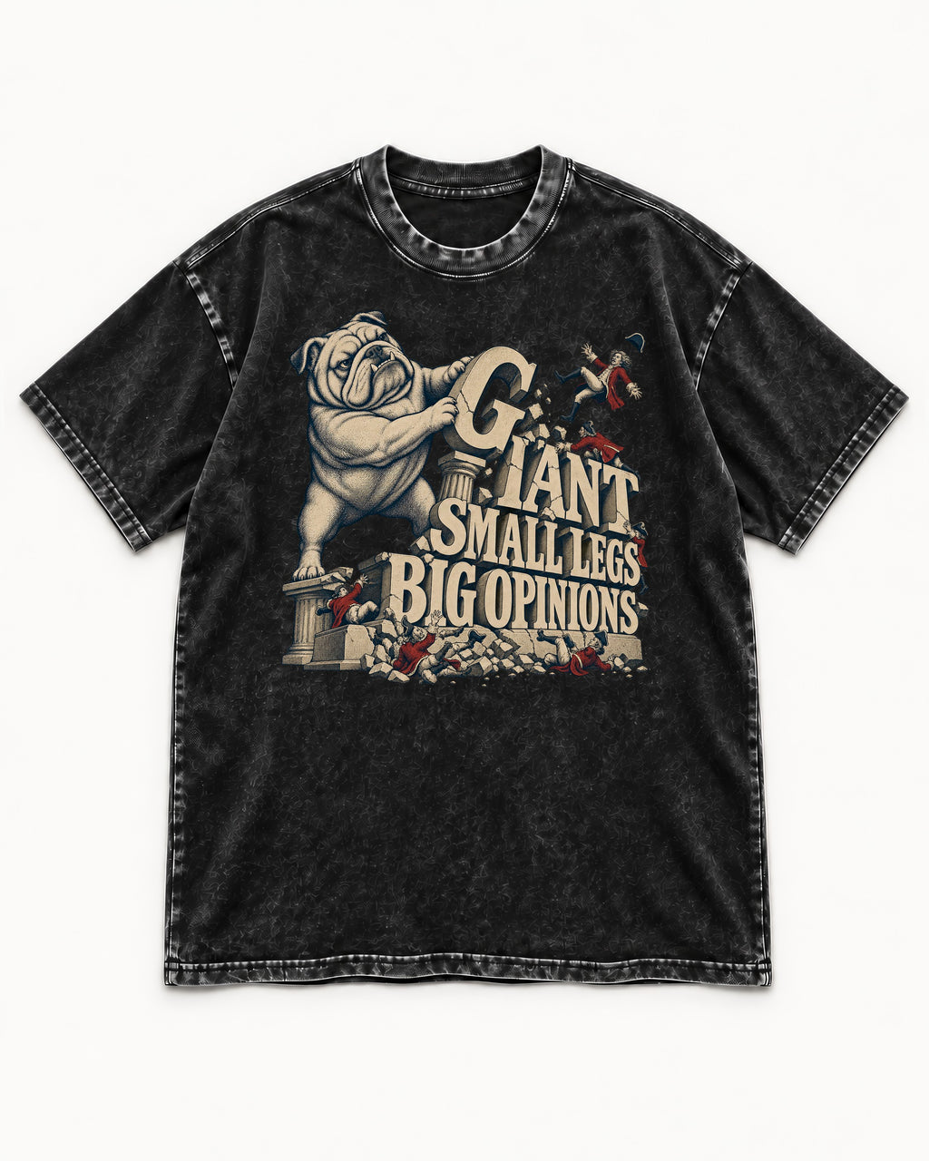 English Bulldog Giant Small Legs Big Opinions Monument Graphic Washed Tee in Black, flat lay product photo