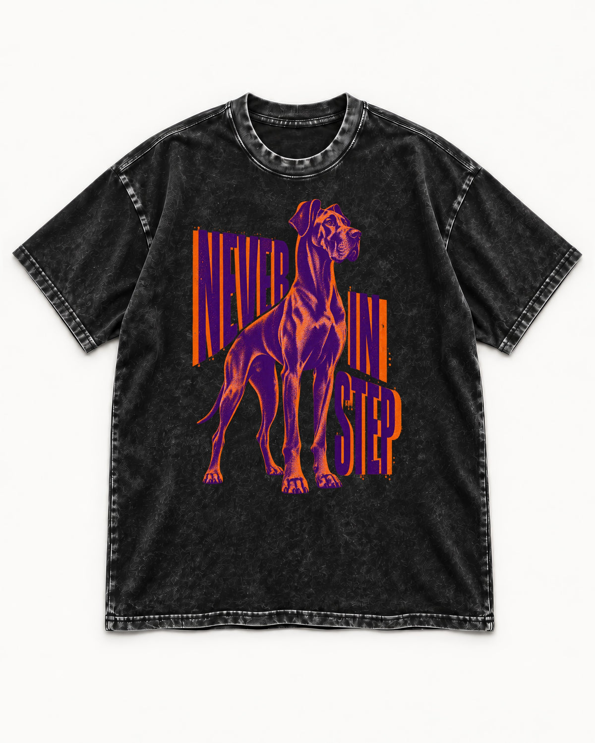 Great Dane Never in Step Standing Graphic Washed Tee in Black, flat lay product photo