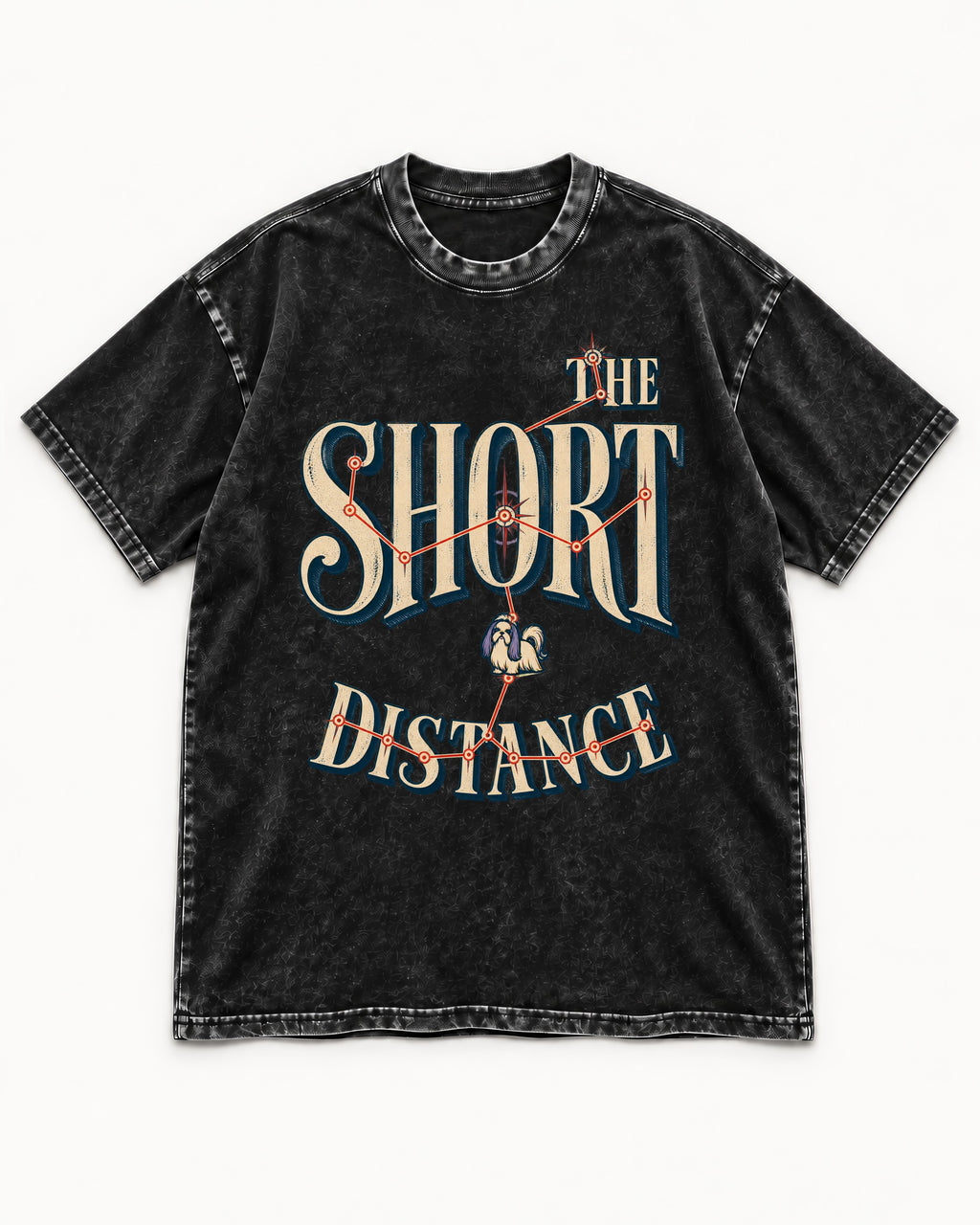 Shih Tzu The Short Distance Route Graphic Washed Tee in Black, flat lay product photo