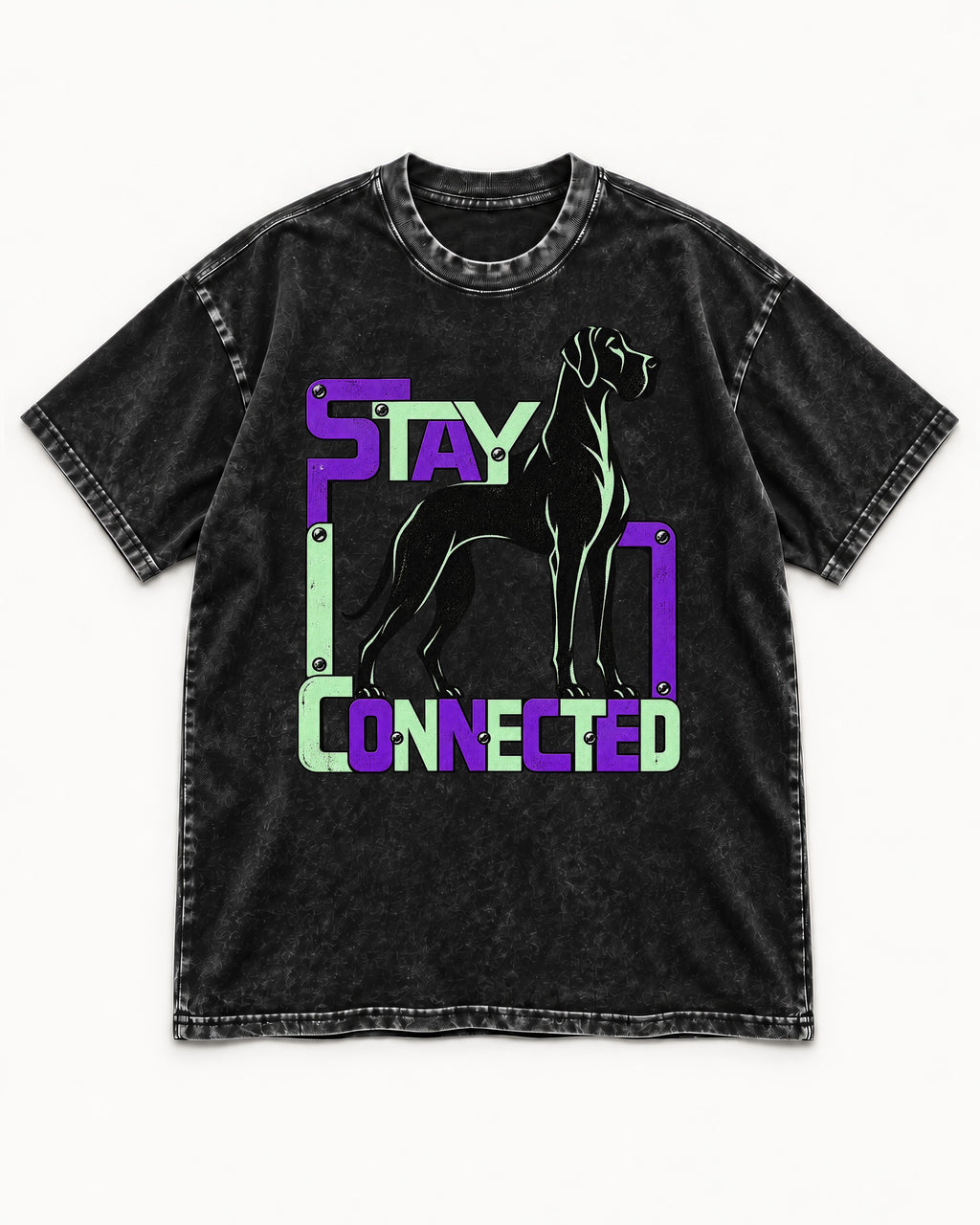 Great Dane Stay Connected Modular Frame Graphic Washed Tee in Black, flat lay product photo