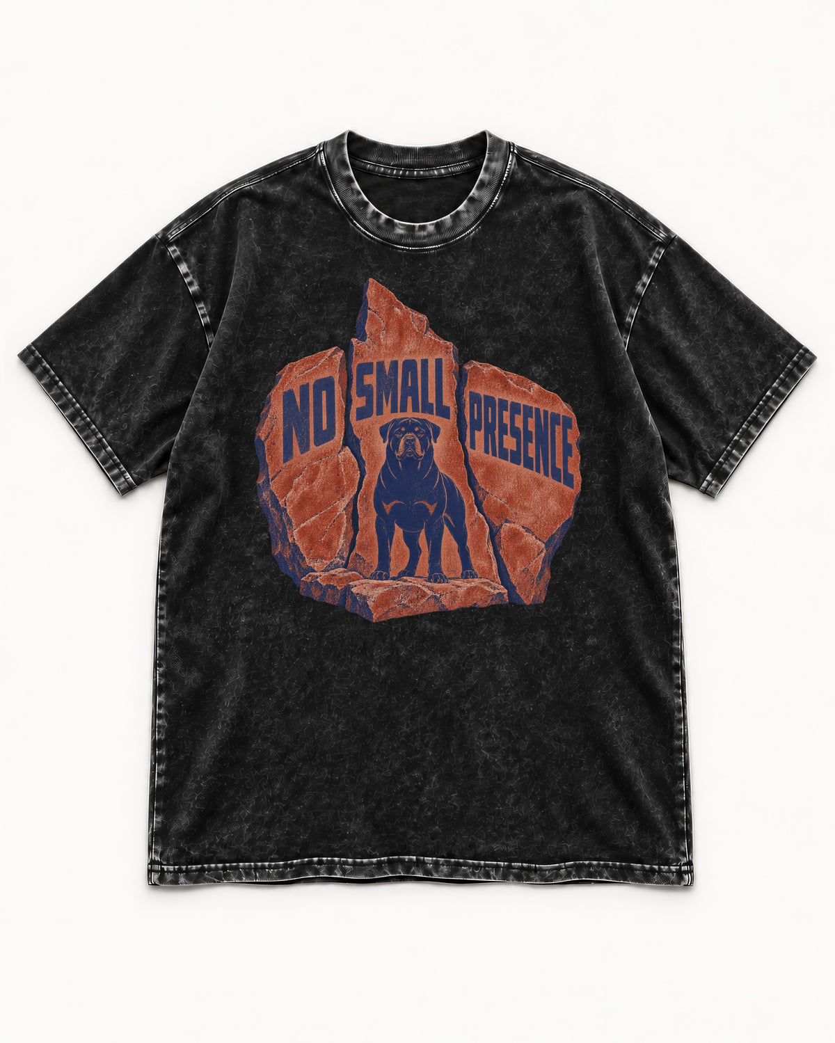 Rottweiler No Small Presence Monument Rock Graphic Washed Tee in Black, flat lay product photo