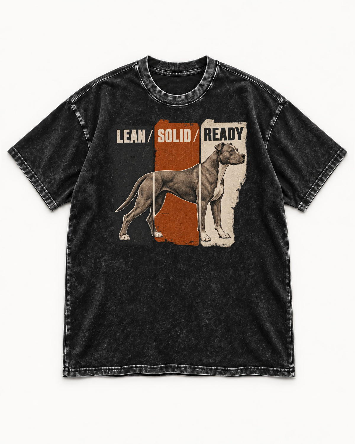 Pitbull Lean Solid Ready Triptych Graphic Washed Tee in Black, flat lay product photo