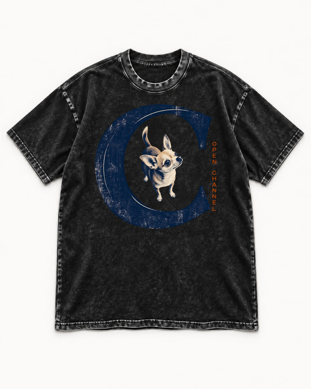 Chihuahua Open Channel Washed Tee in Black, flat lay product photo