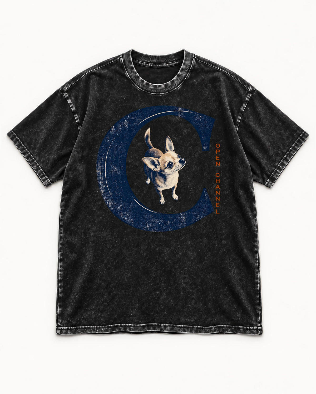 Chihuahua Open Channel Washed Tee in Black, flat lay product photo