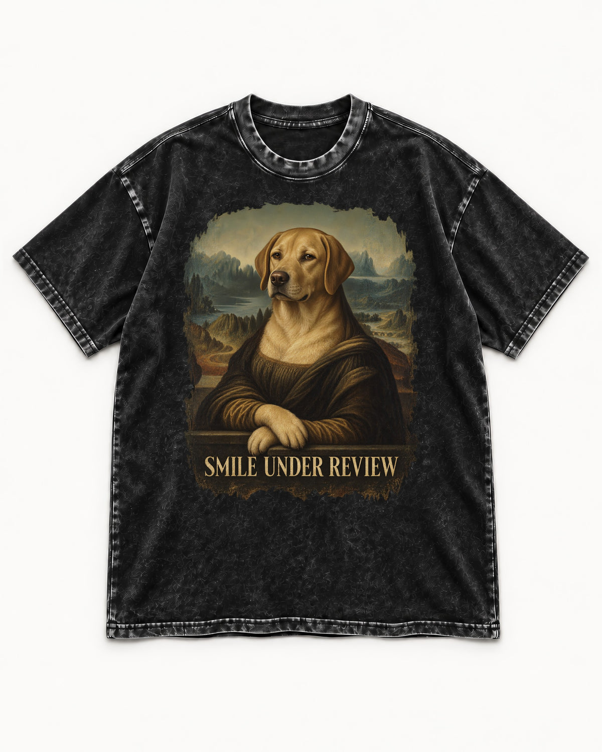 Labrador Retriever Smile Under Review Mona Lisa Graphic Washed Tee in Black, flat lay product photo