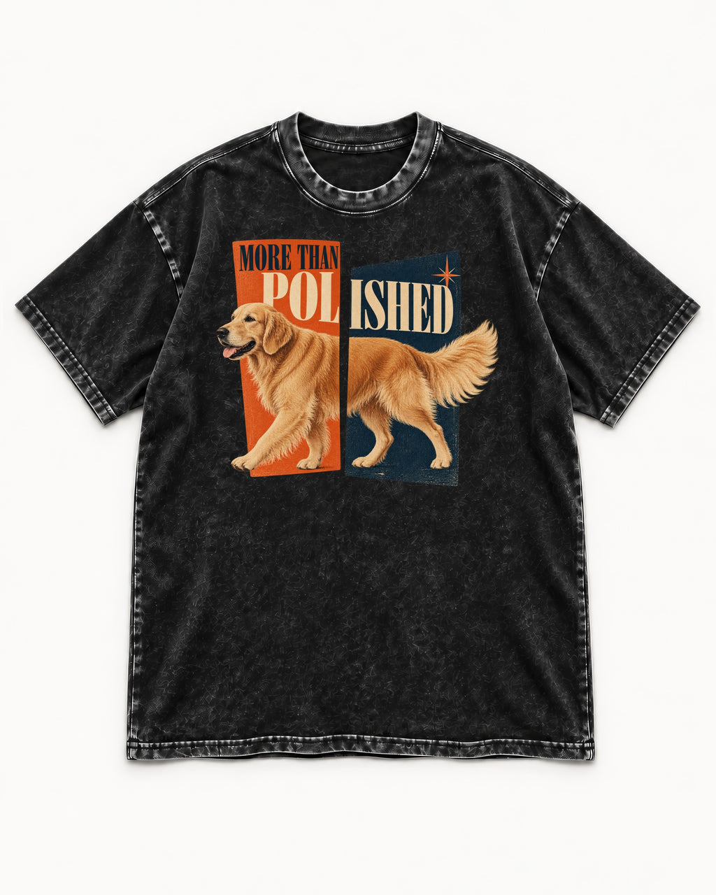 Golden Retriever More Than Polished Split Panel Graphic Washed Tee in Black, flat lay product photo