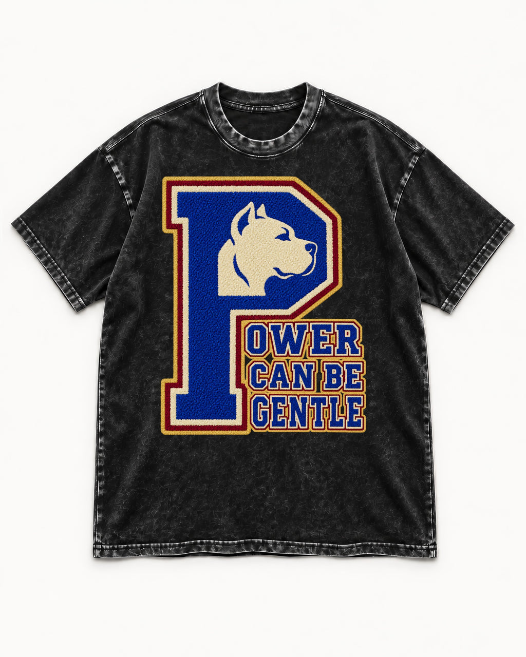 Pitbull Power Can Be Gentle Varsity Graphic Washed Tee in Black, flat lay product photo