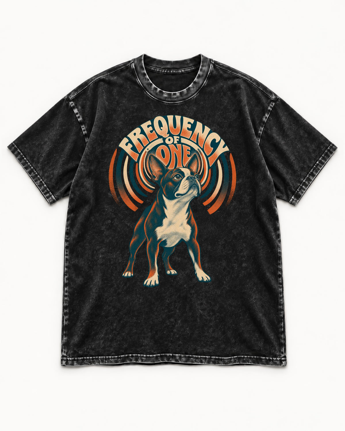 Frequency of One Boston Terrier Graphic Washed Tee in Black, flat lay product photo