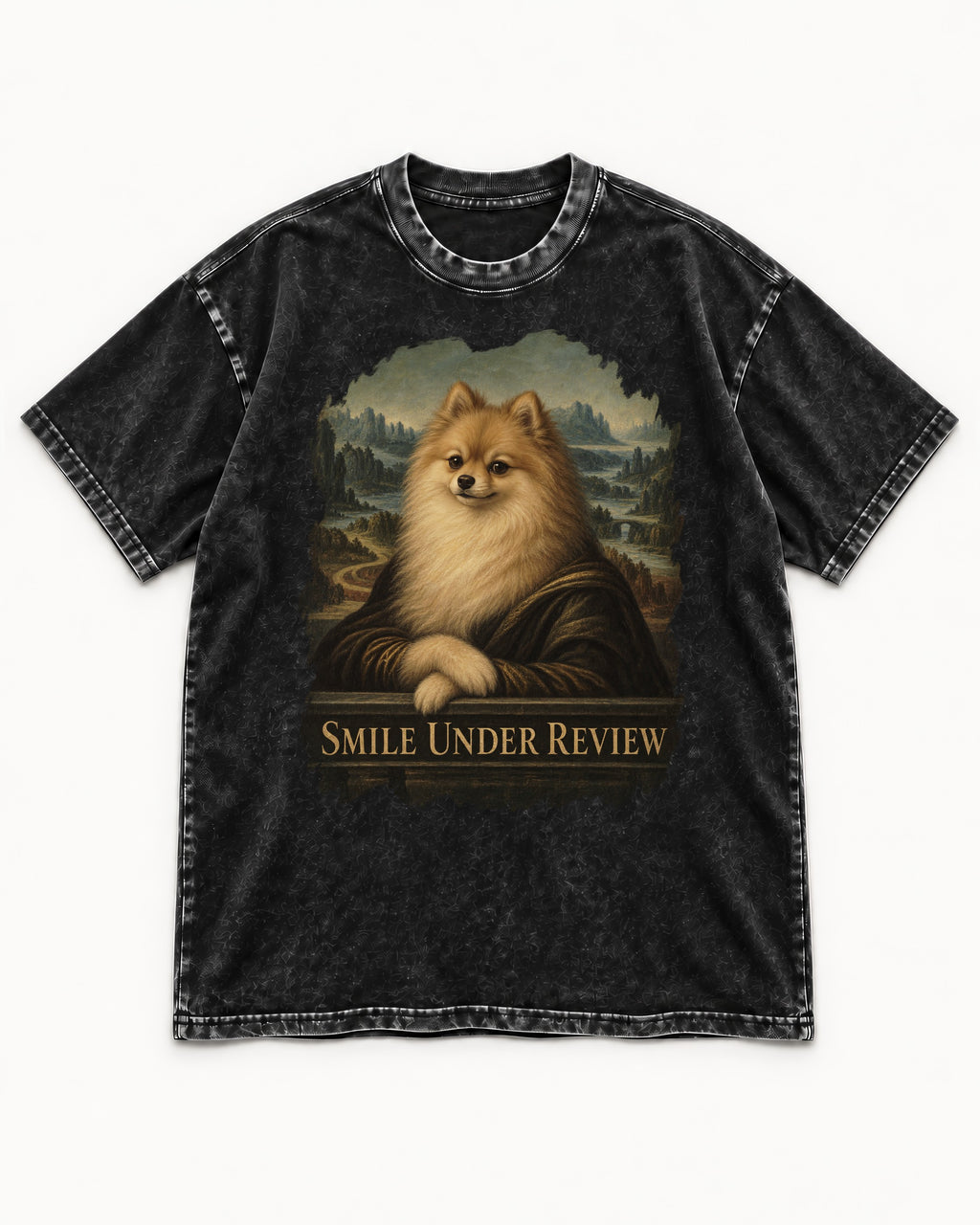Pomeranian Smile Under Review Renaissance Portrait Graphic Washed Tee in Black, flat lay product photo
