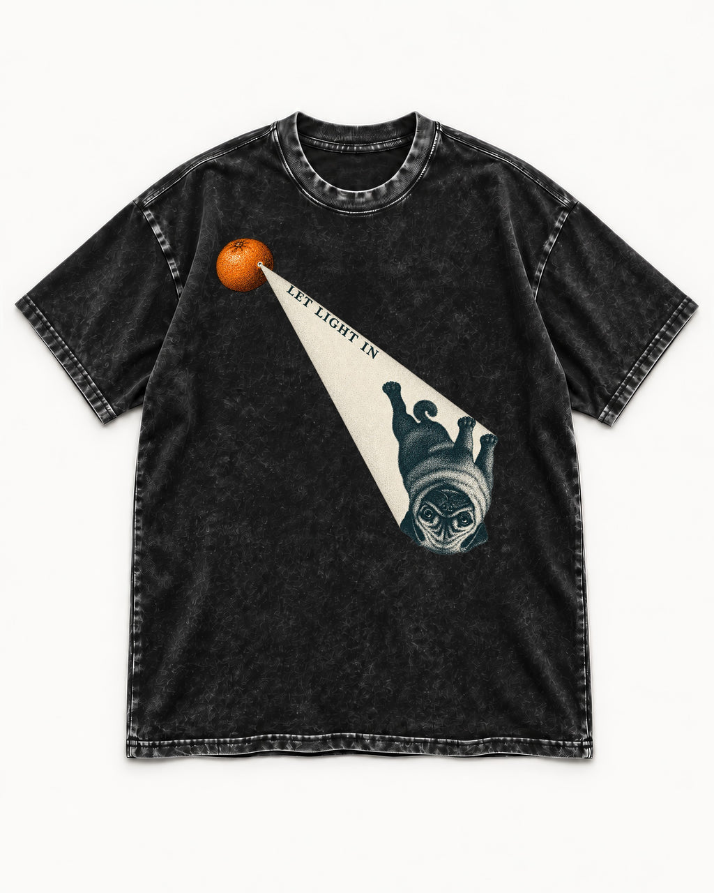 Pug Let Light In Camera Obscura Graphic Washed Tee in Black, flat lay product photo