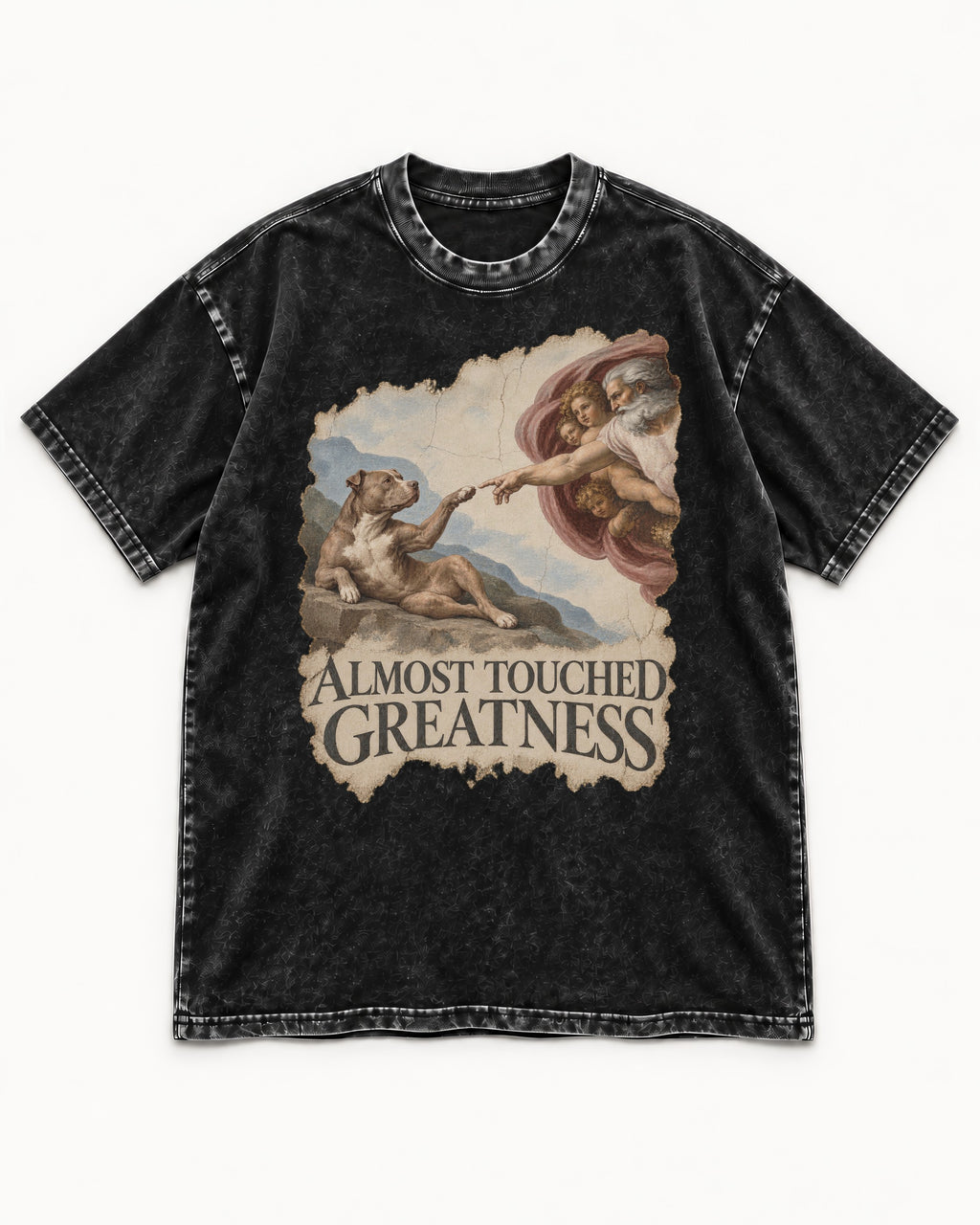 Pitbull Almost Touched Greatness Creation Parody Graphic Washed Tee in Black, flat lay product photo