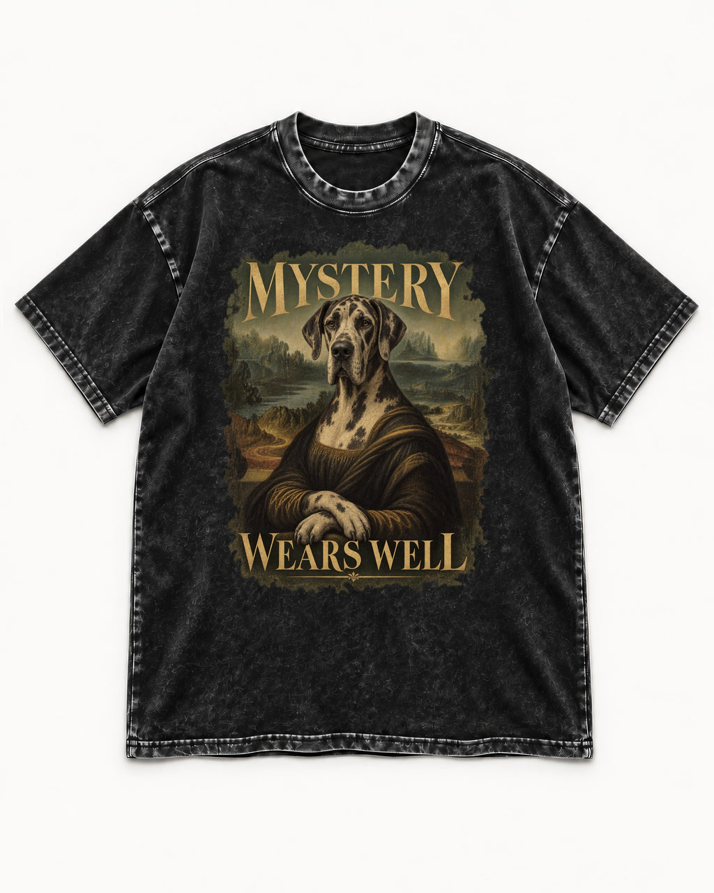 Great Dane Mystery Wears Well Renaissance Portrait Graphic Washed Tee in Black, flat lay product photo