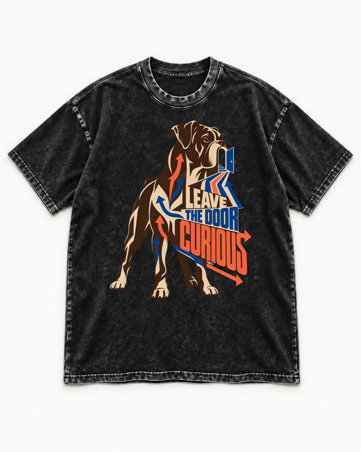 Leave the Door Curious Boxer Doorway Arrow Graphic Washed Tee in Black, flat lay product photo